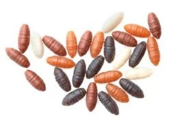 Drennan Buoyant Maggot -Aanbiedingen Hengelsport Winkel drennan buoyant maggot 2